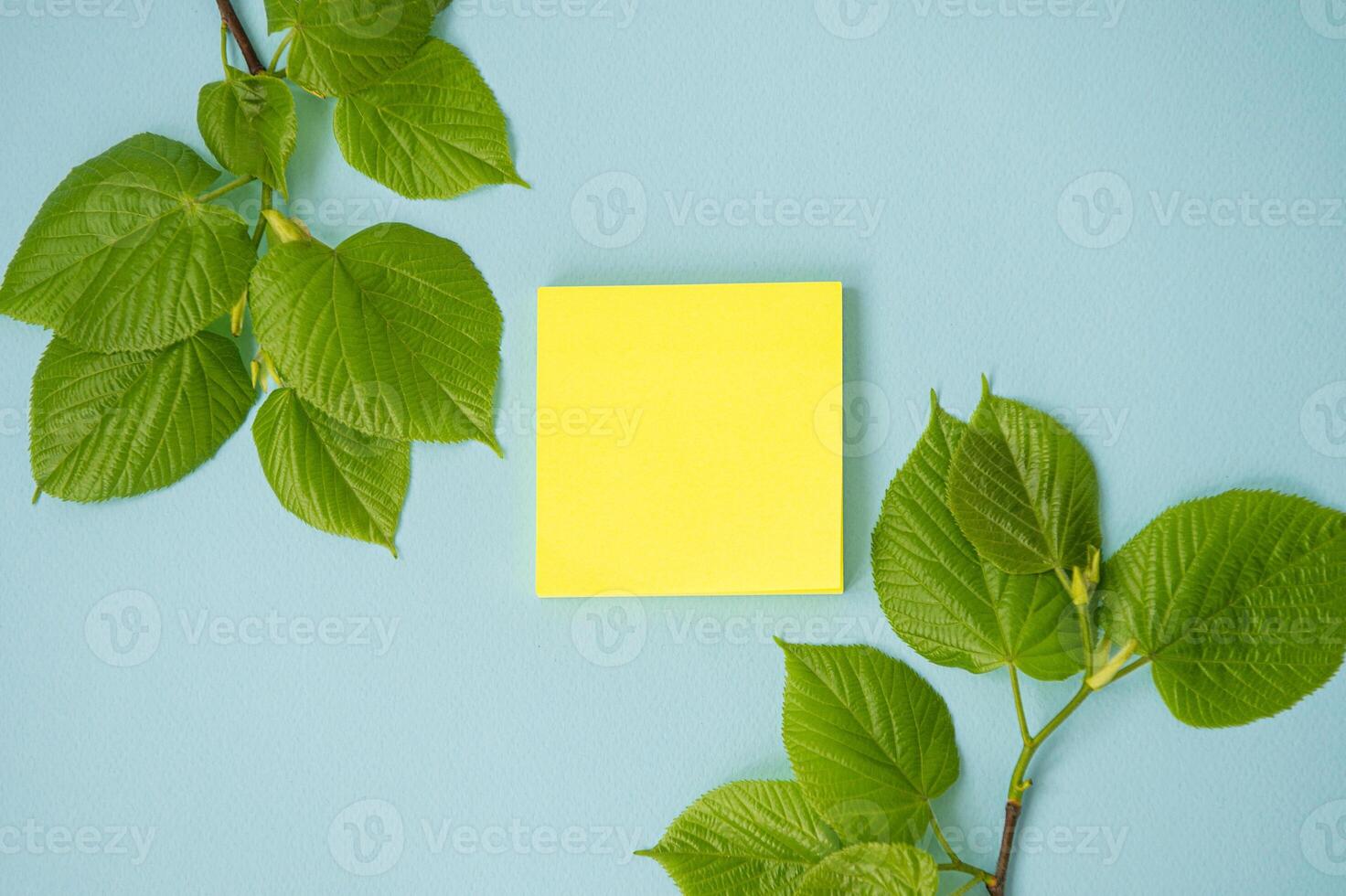 A blank sheet, a sticker, a top view, a branch with leaves on a bright blue table. Mockup . photo