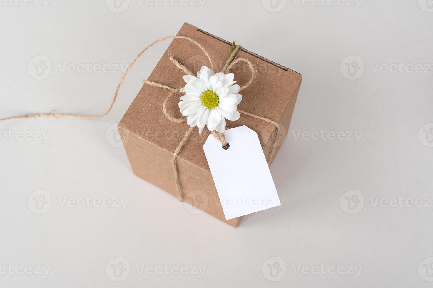 Kraft box with blank label, price tag, gift wrap, top view, tag mockup photo