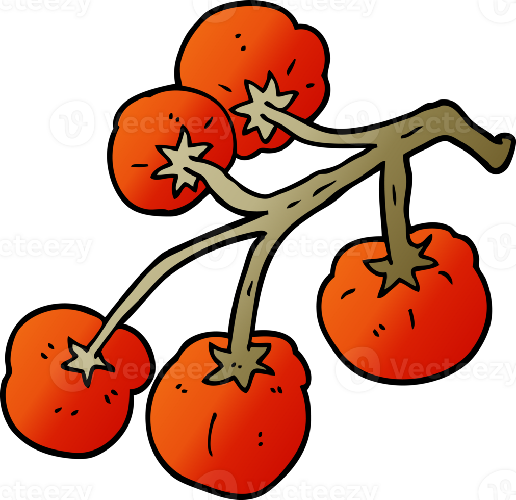 cartoon doodle tomatoes on vine png