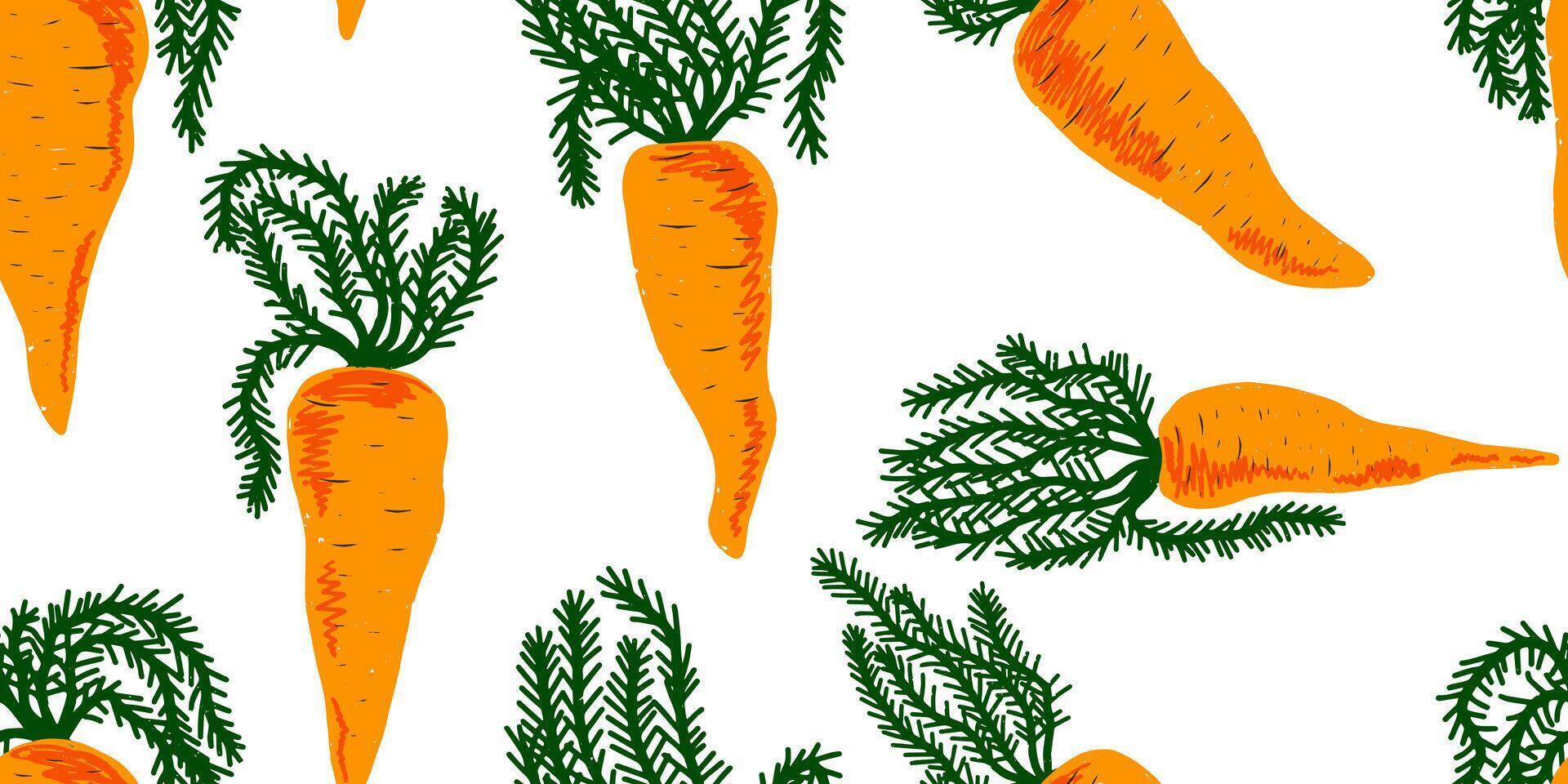 carrots and spruce on white background vector