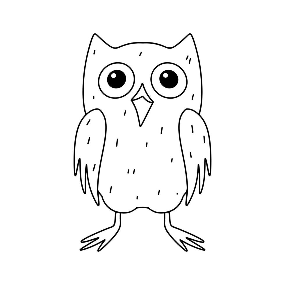 Funny owl. Hand drawn doodle style. Vector illustration isolated on white. Coloring page.