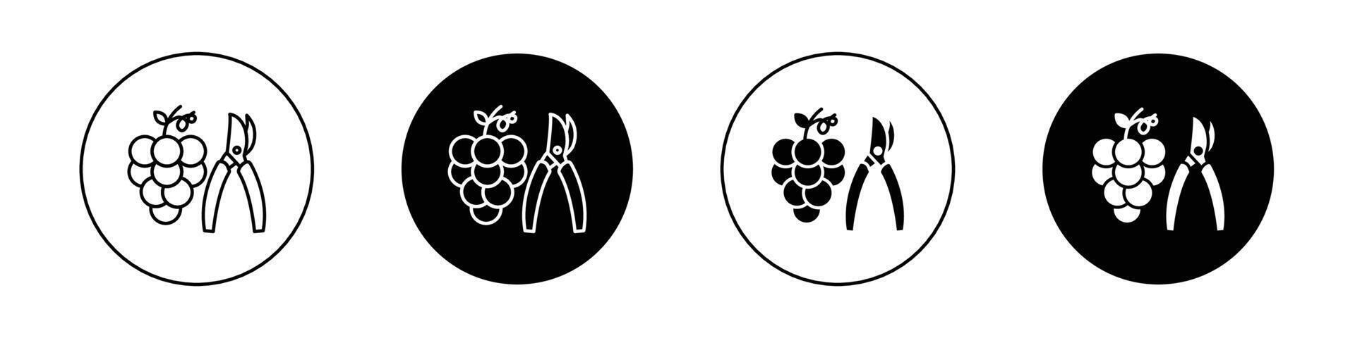 Pruning grape icon vector