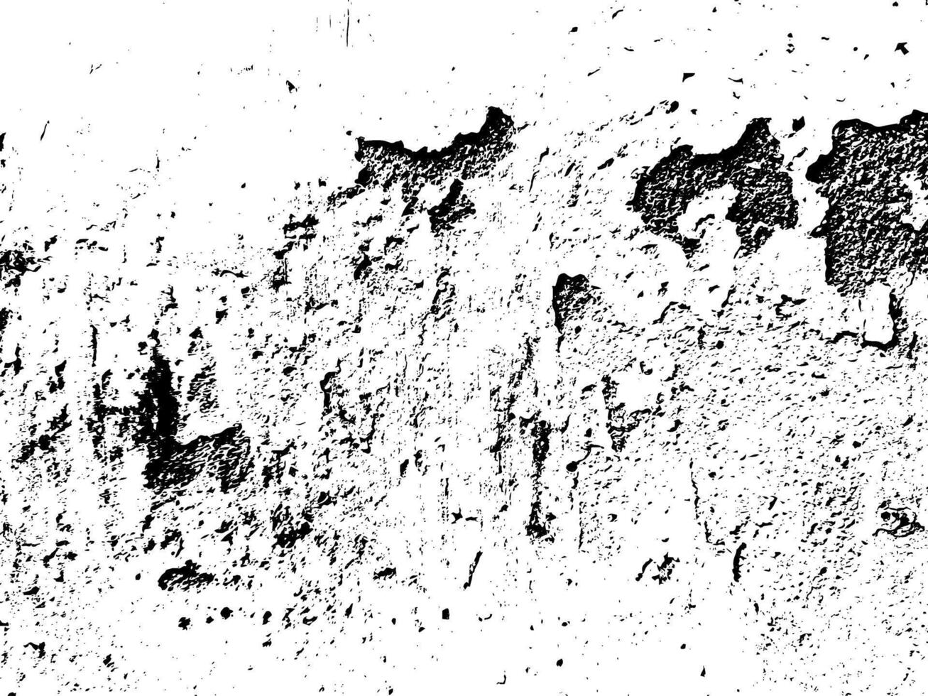 Grunge texture white and black vector
