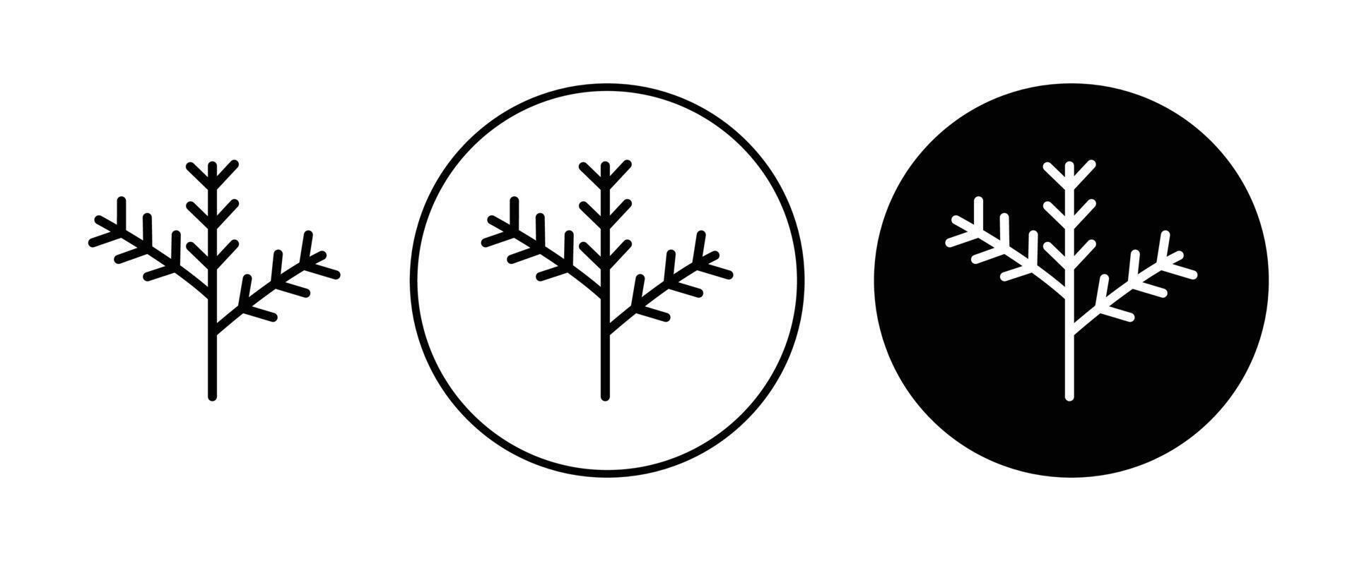 Pine branch icon vector