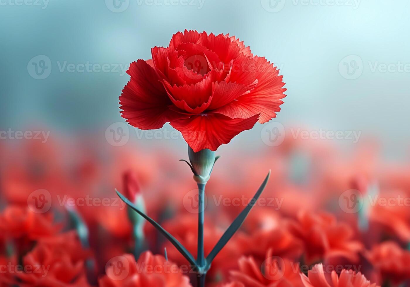 ai generado rojo clavel, símbolo de el revolución en Portugal. primavera y libertad foto