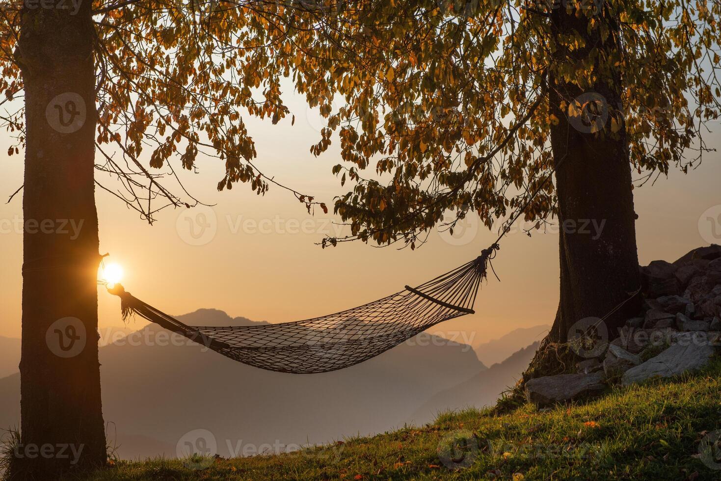 Hammock hill with trees photo