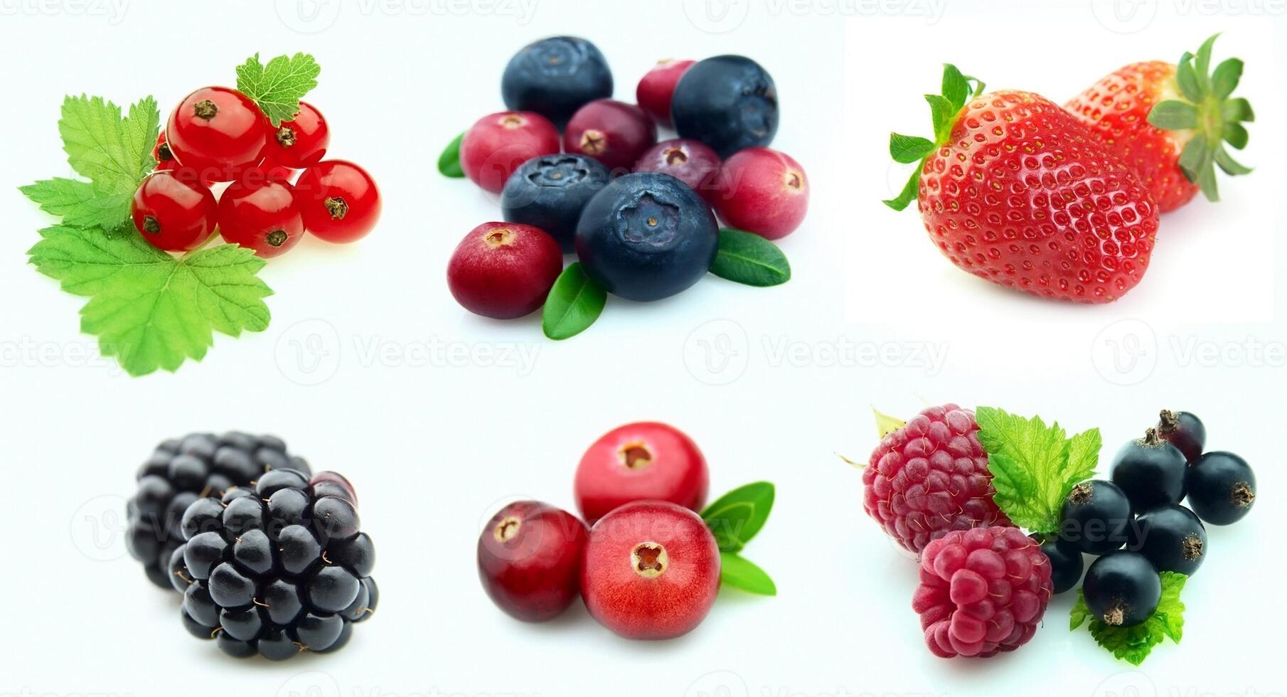 Collection of berries photo