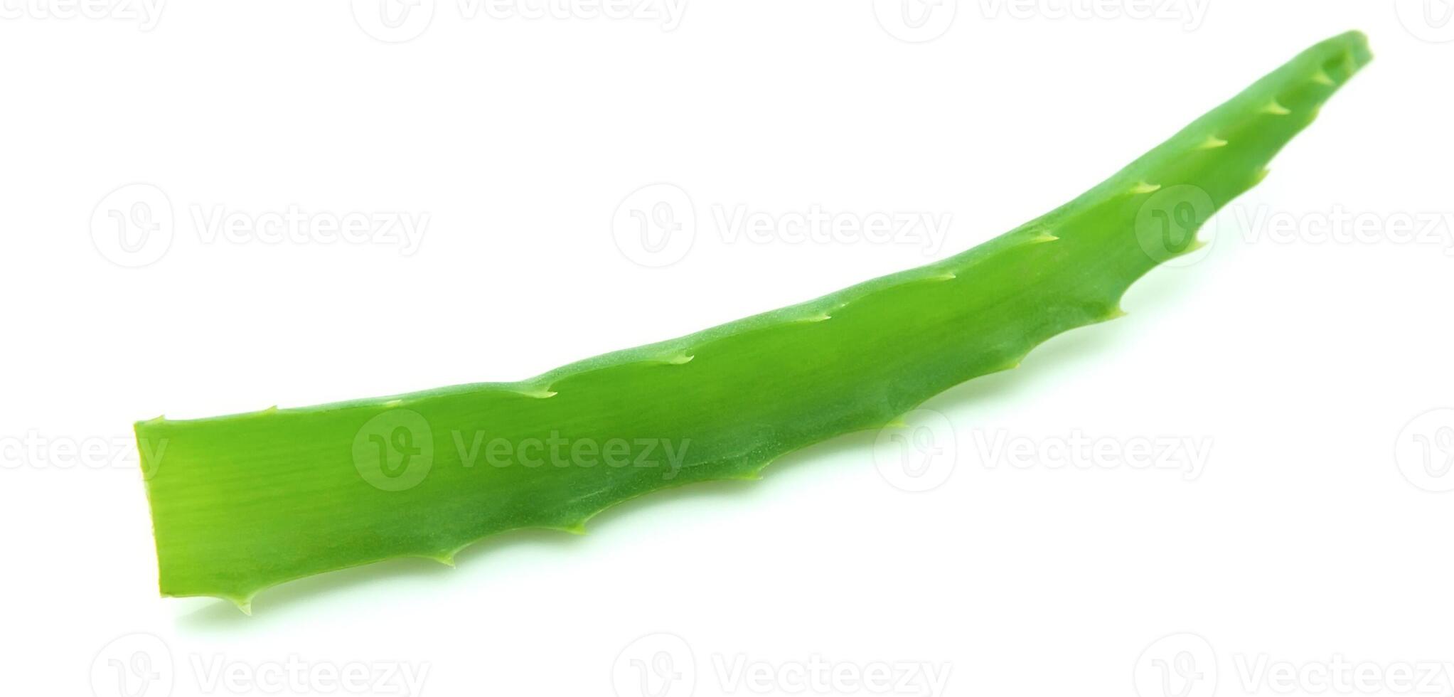 Aloe vera on white backgrounds photo