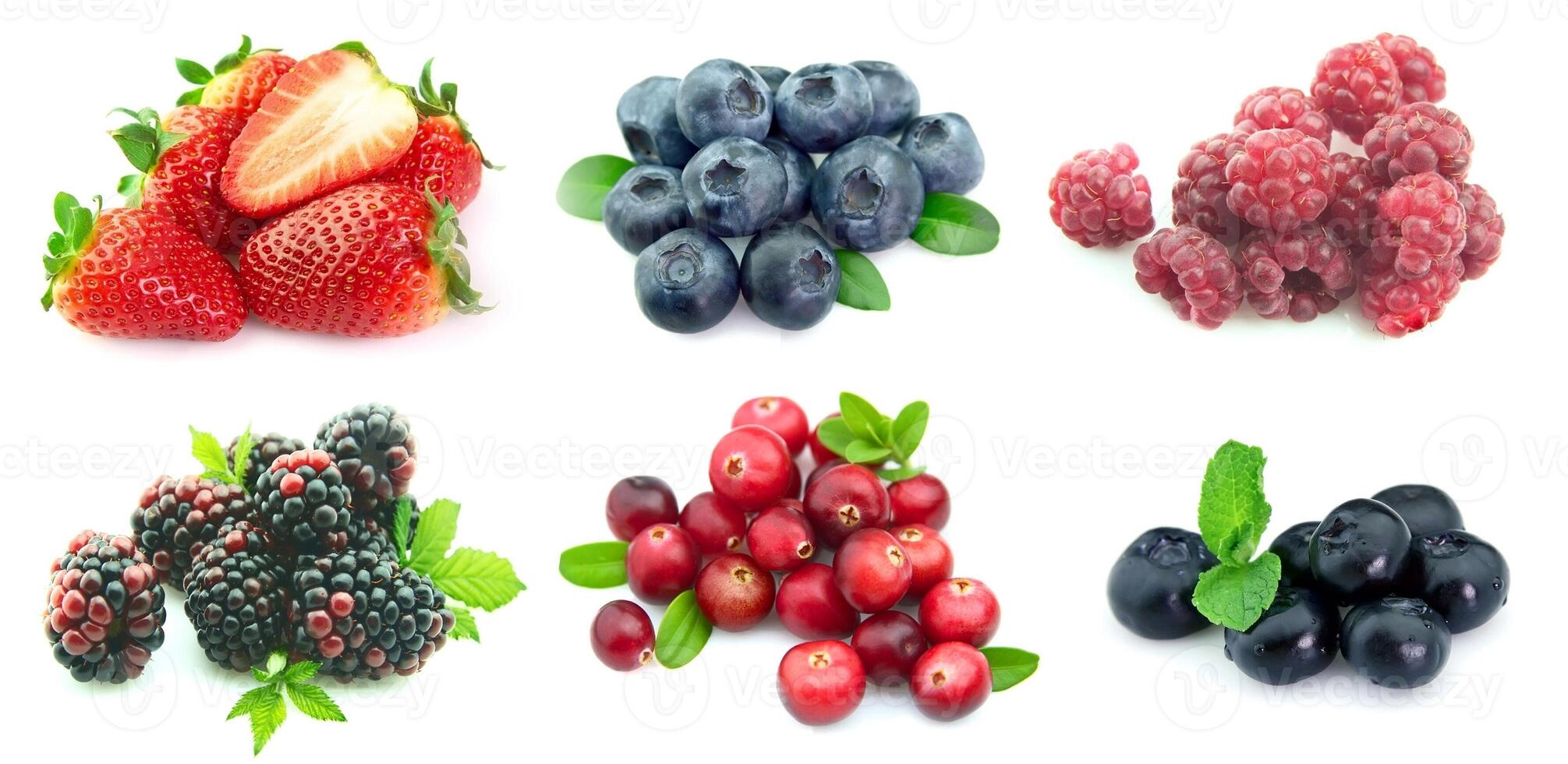 Collection of berries photo