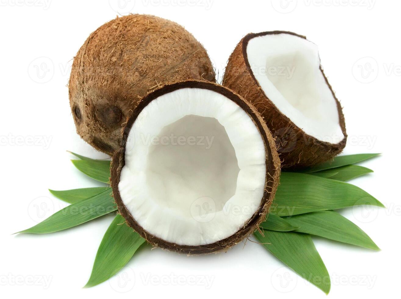 Coconut with leaves photo