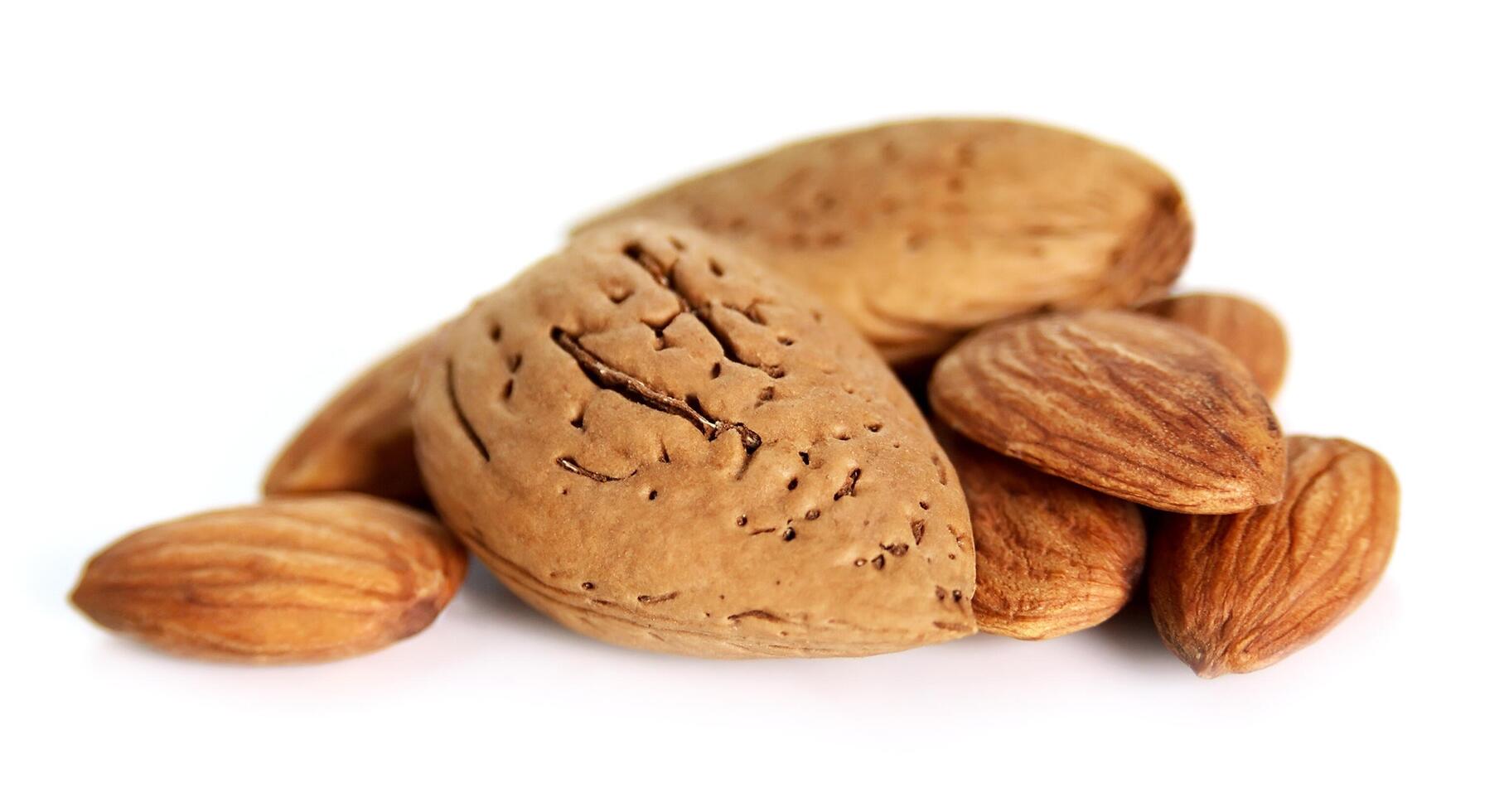 Almond closeup on white backgrounds photo