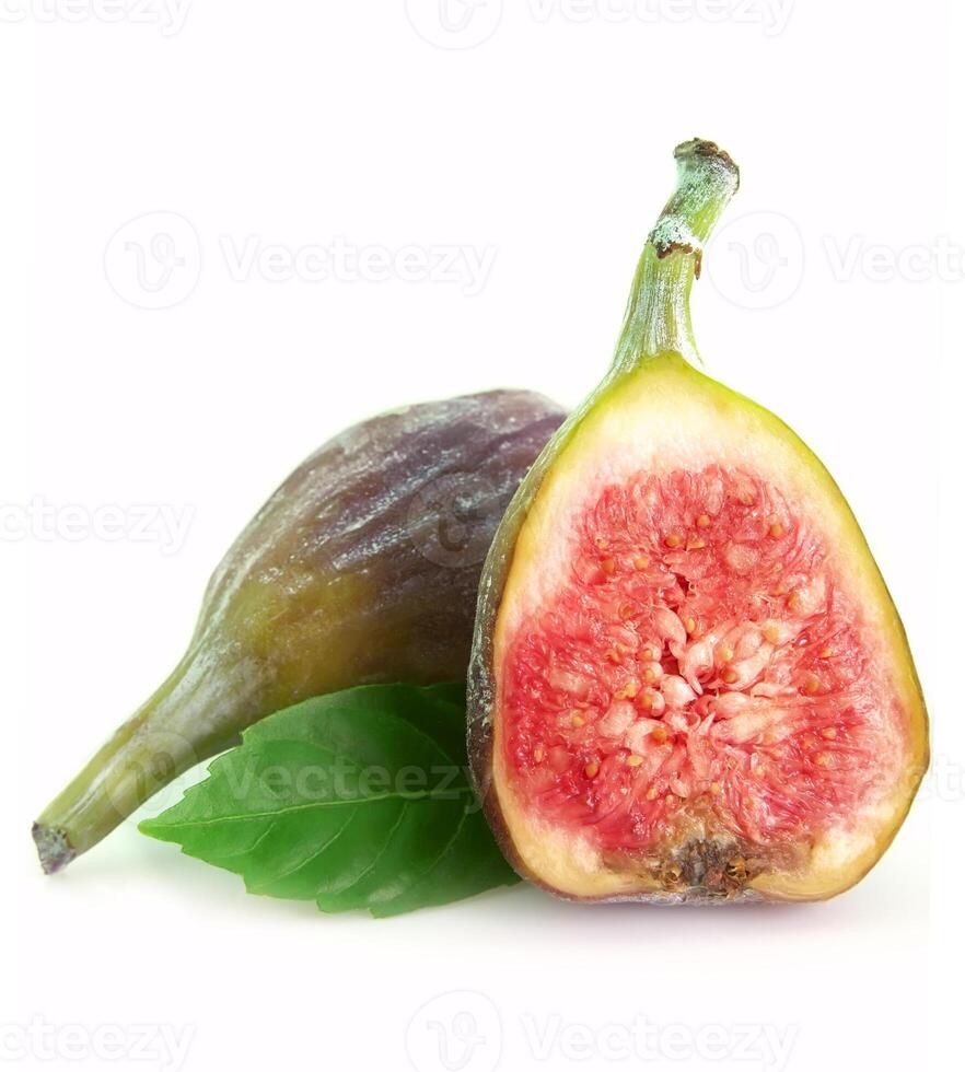 Fig fetuses on white backgrounds photo