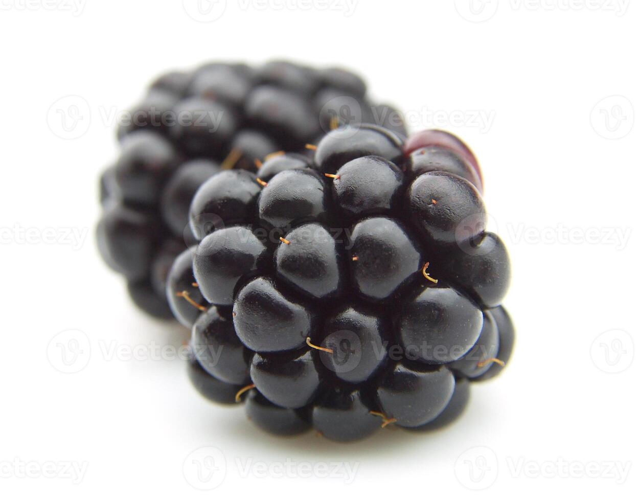 Blackberry on white backgrounds photo