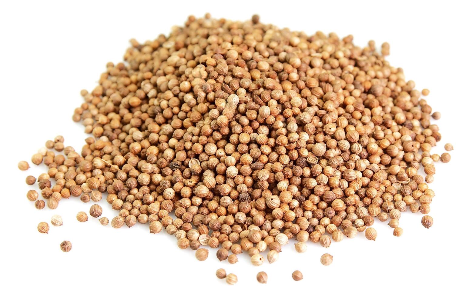 Coriander on white backgrounds photo