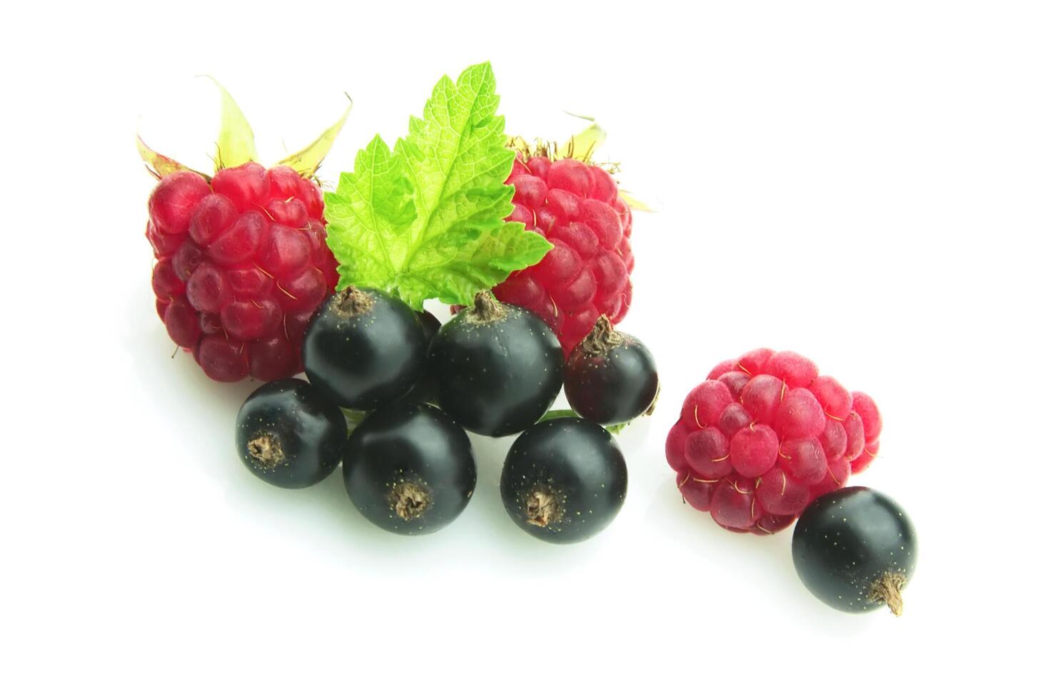 Raspberry and black currant photo