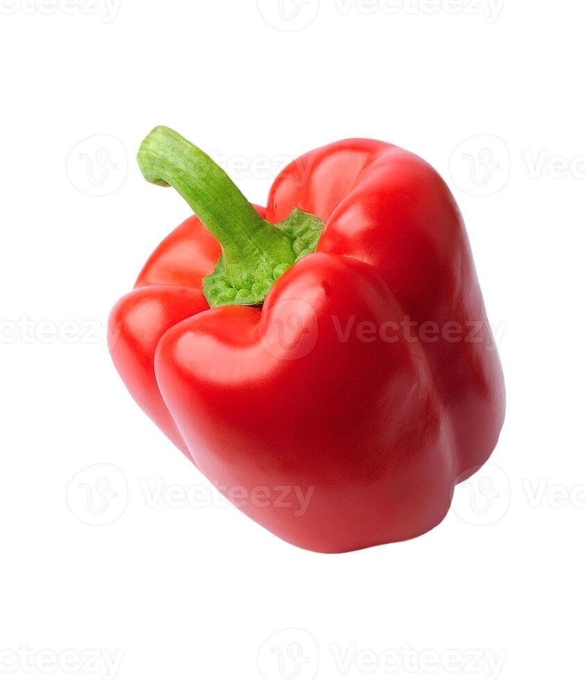 Single sweet red pepper photo