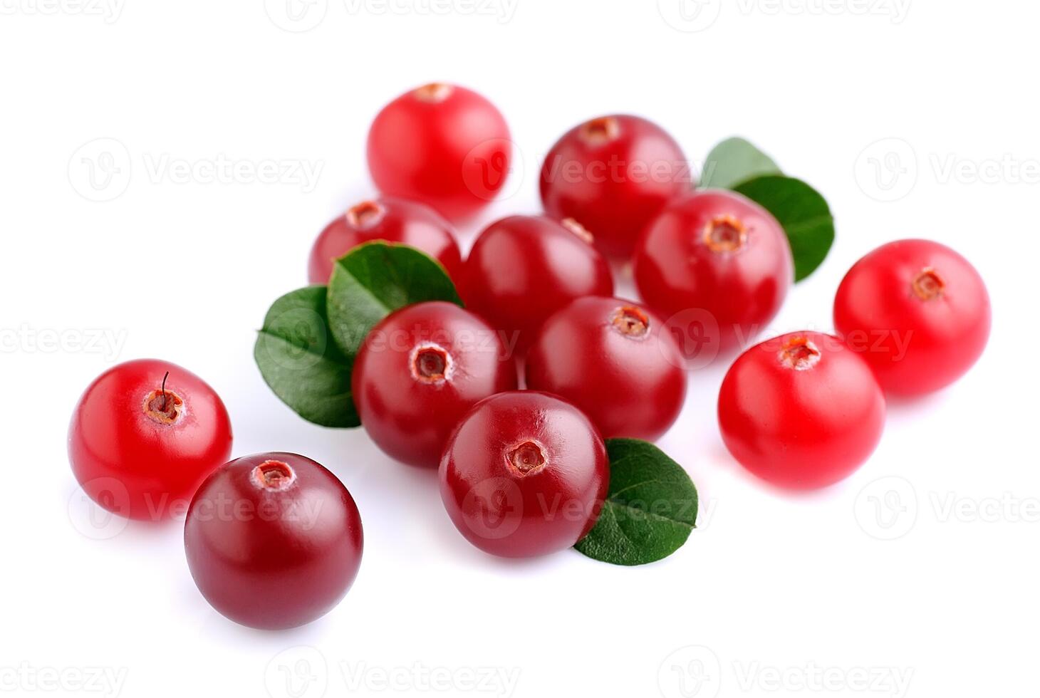 Cranberries with leafs . photo