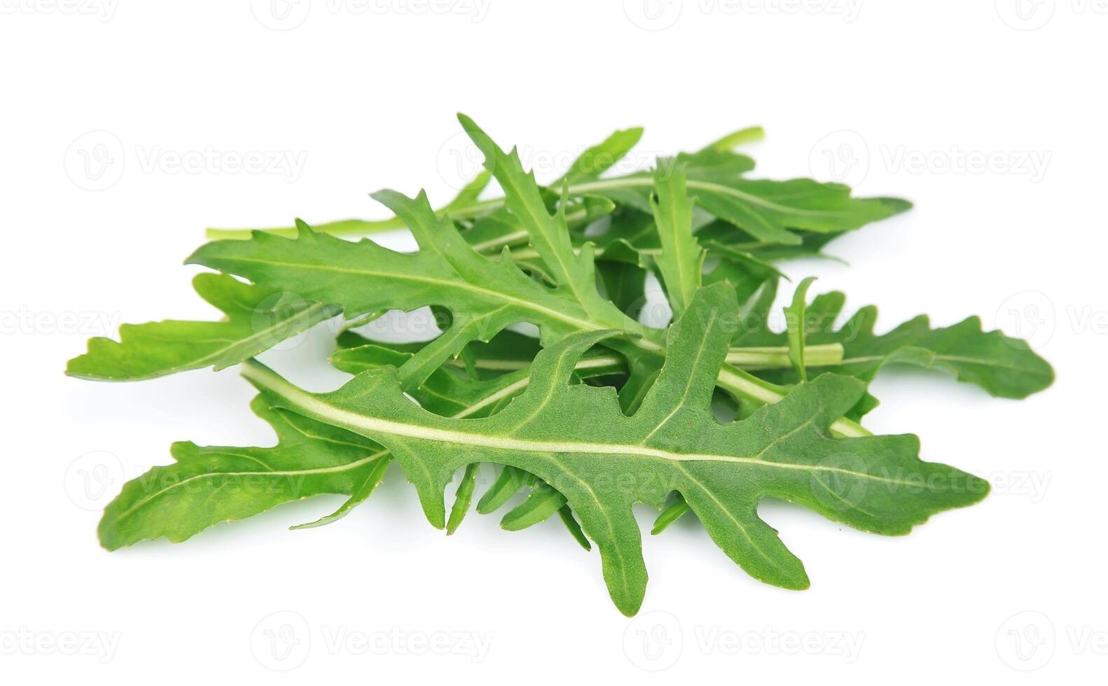 Rucola leaves on white backgrounds photo