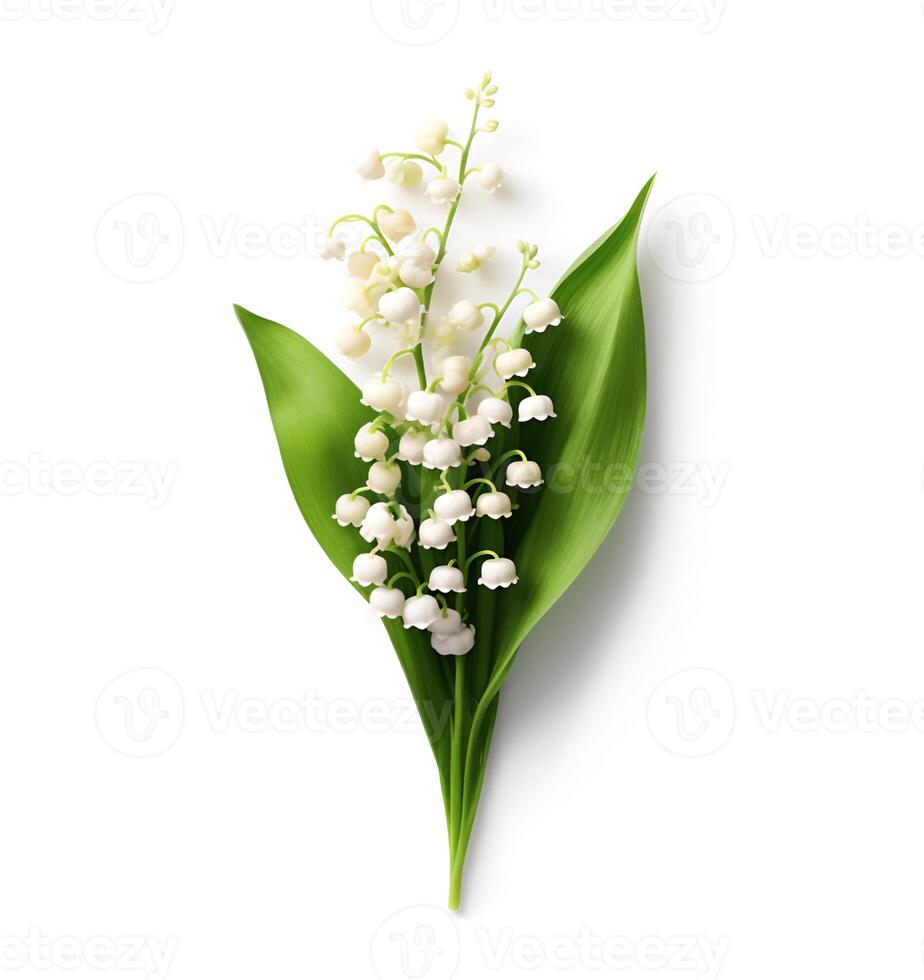 AI generated Lily of the valley flower photo