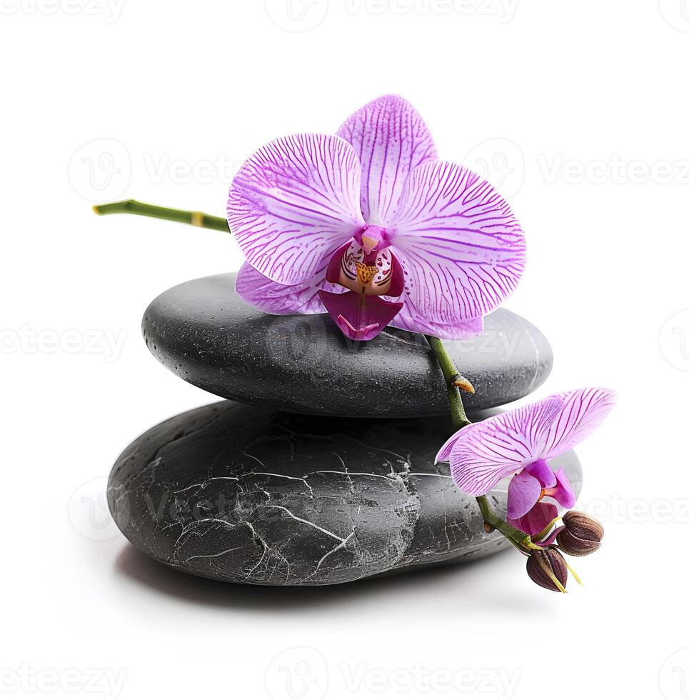 AI generated Spa massage stones with orchid photo