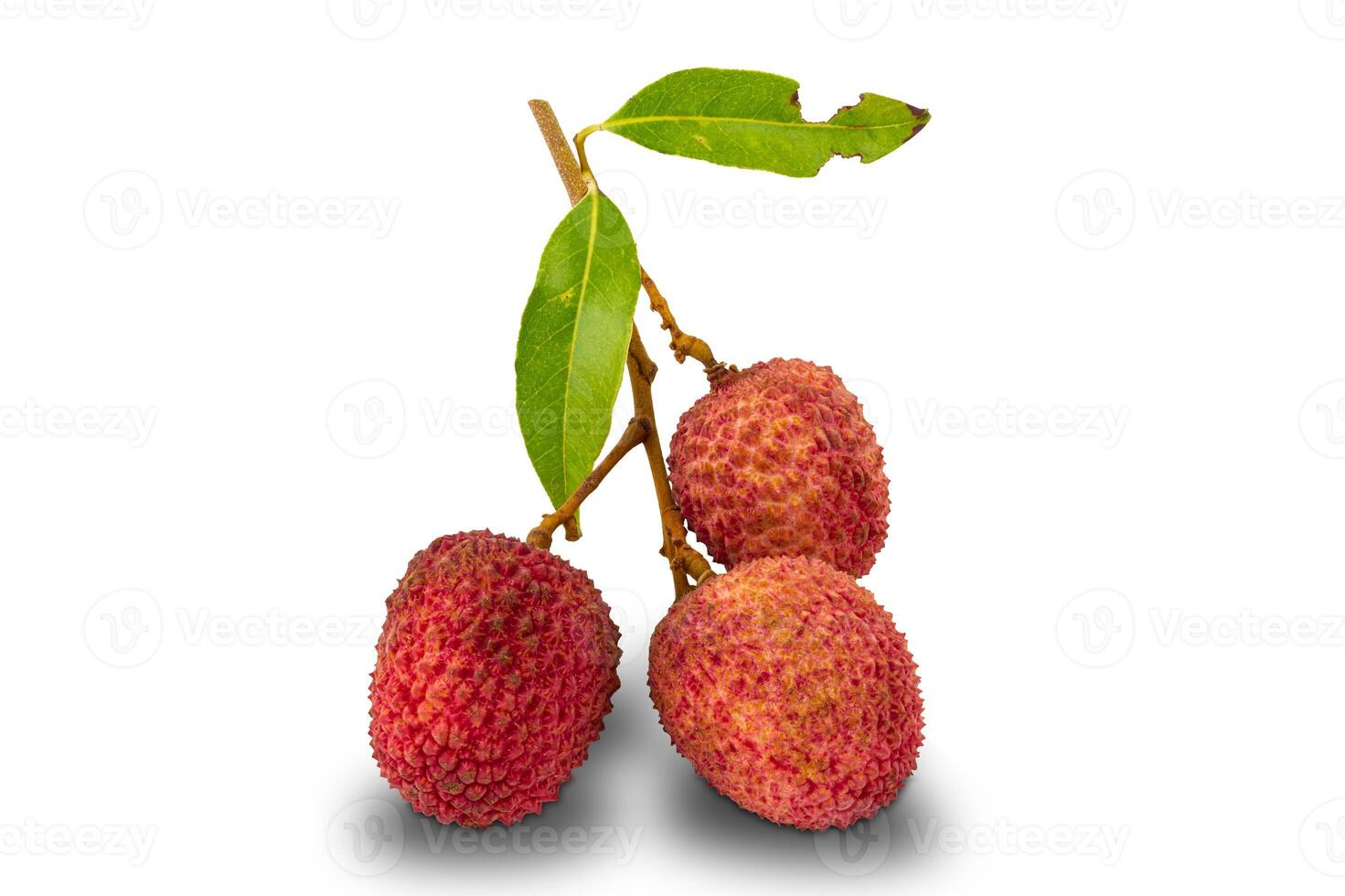 Group of lychee , litchi chinensis, with leaves on white background with clipping path photo