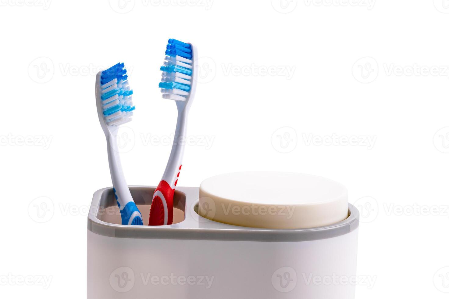 New toothbrushes red and blue handle in plastic holder isolated on white background with clipping path. photo