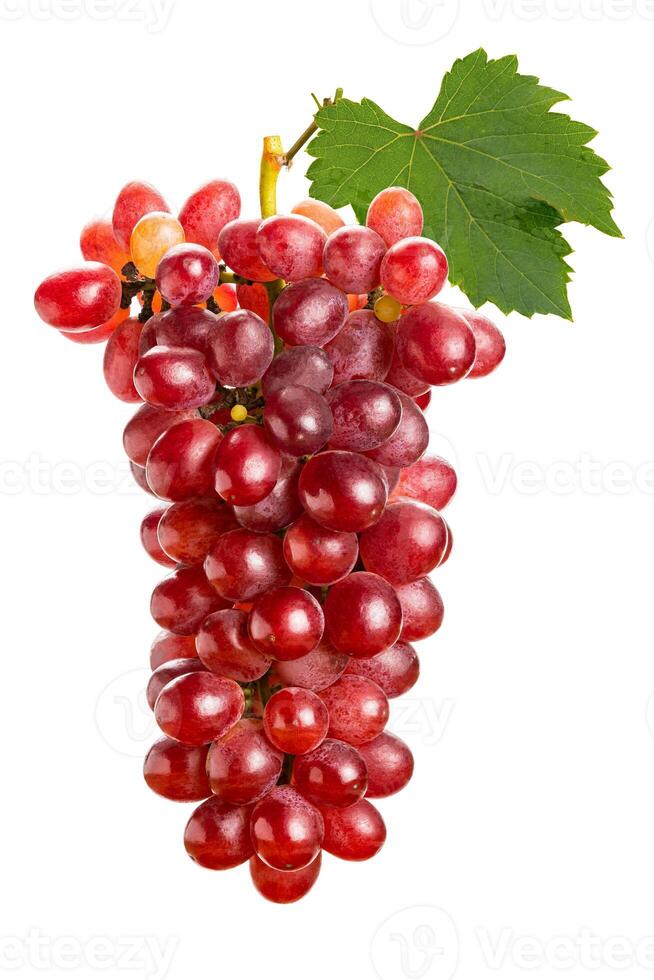 Bunch of ripe Crimson Seedless Grapes with green leaf isolated on white background with clipping path. photo