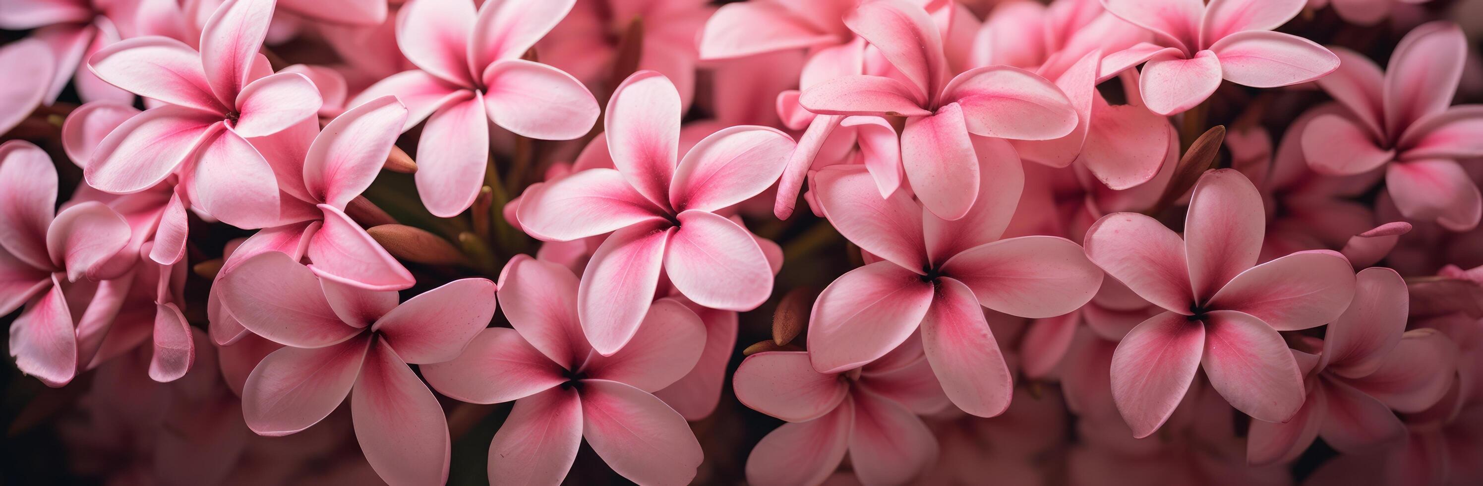 AI generated a photo of pink flowers