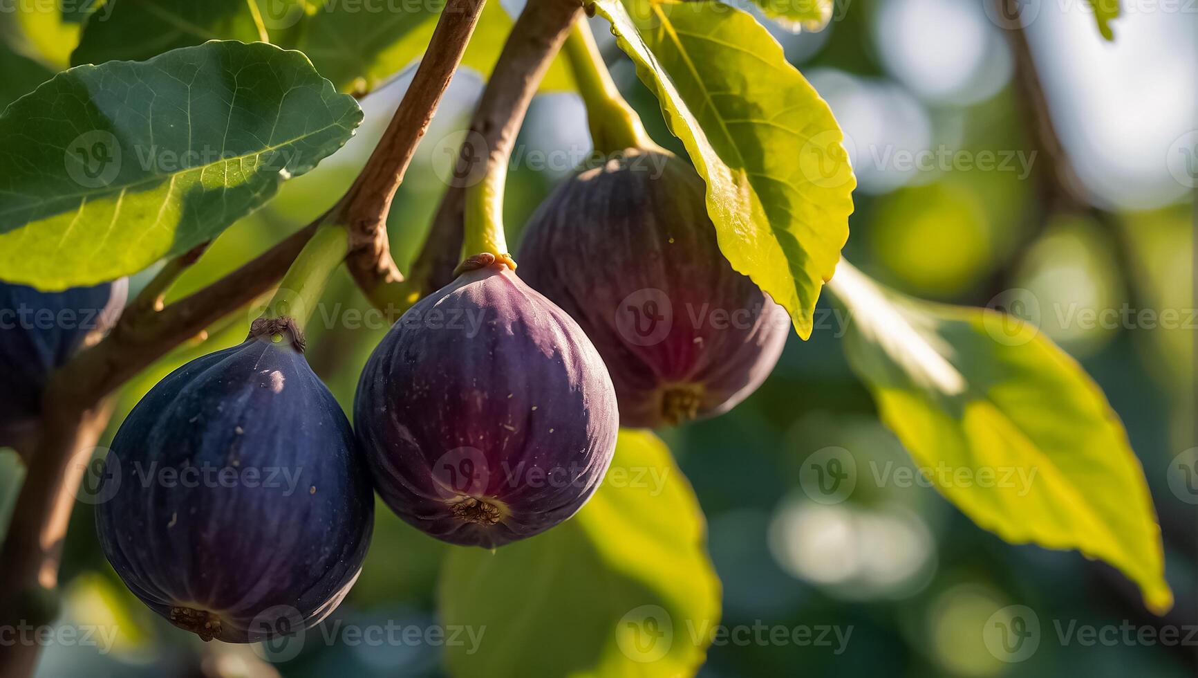 AI generated Fresh ripe figs on a branch close-up photo