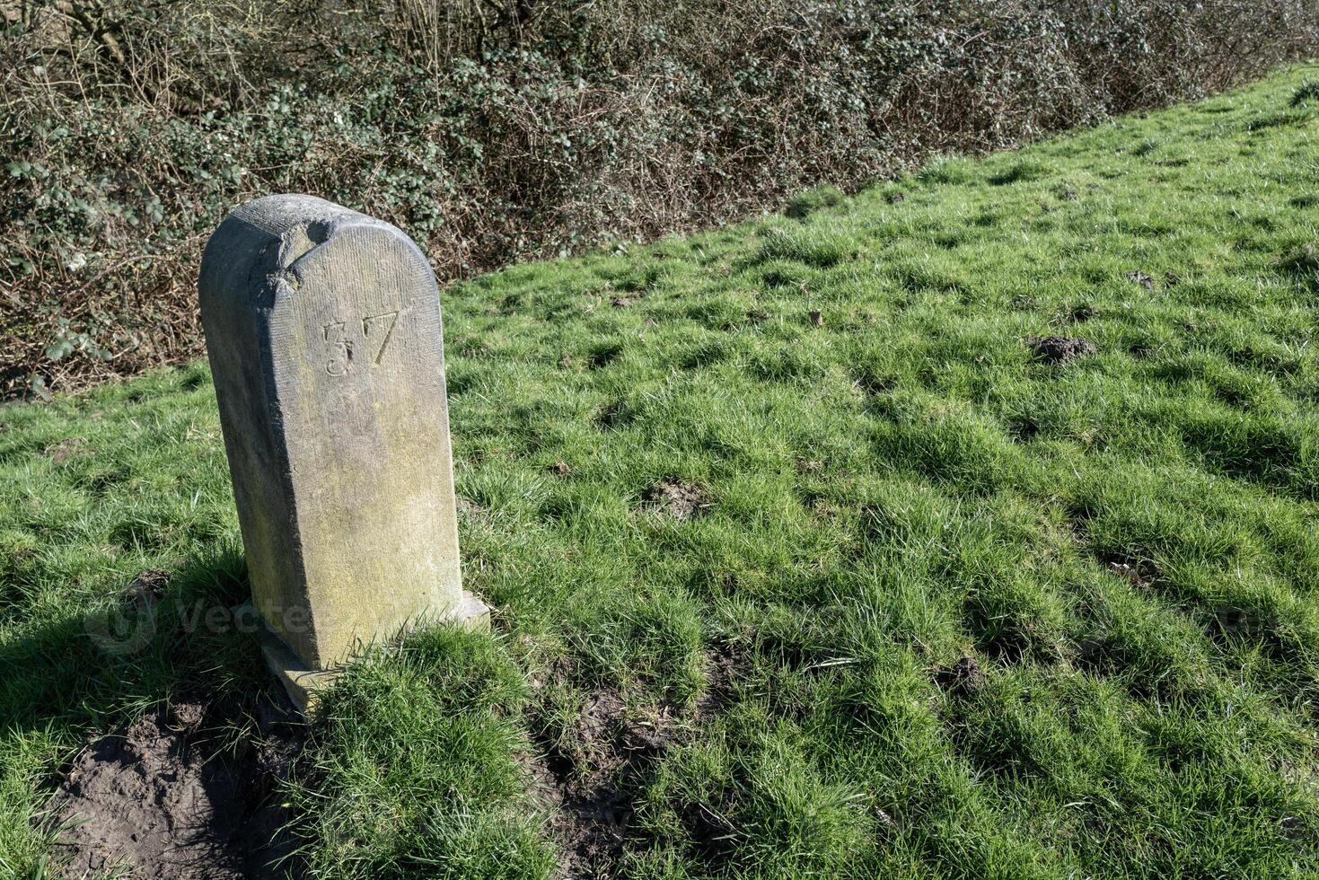 boundary stone in the meadow photo