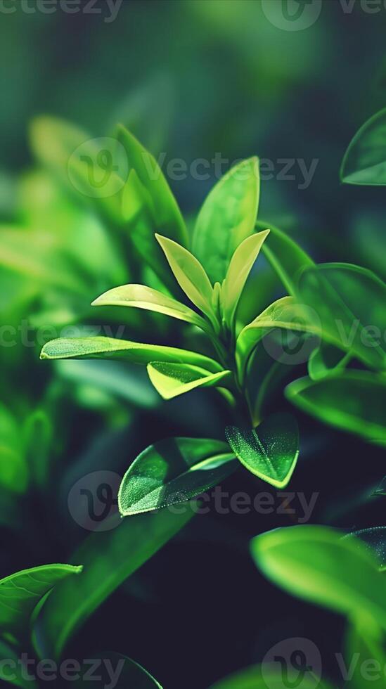 AI generated Lush green leaves close-up, nature's freshness embodied photo