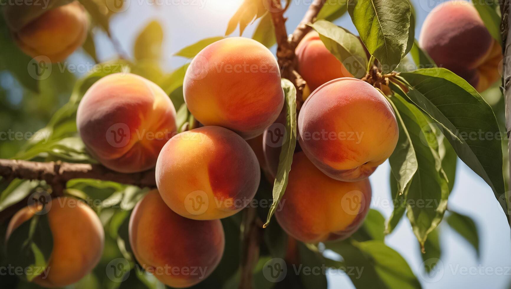 AI generated ripe peaches on a branch in the garden photo