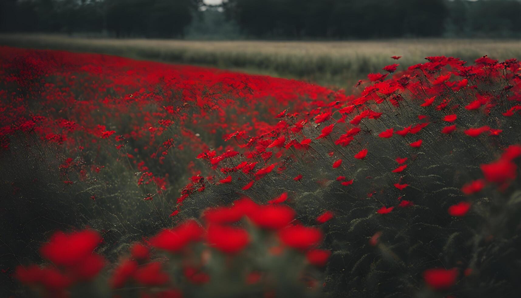 AI generated poppies by kristian kjellberg photo