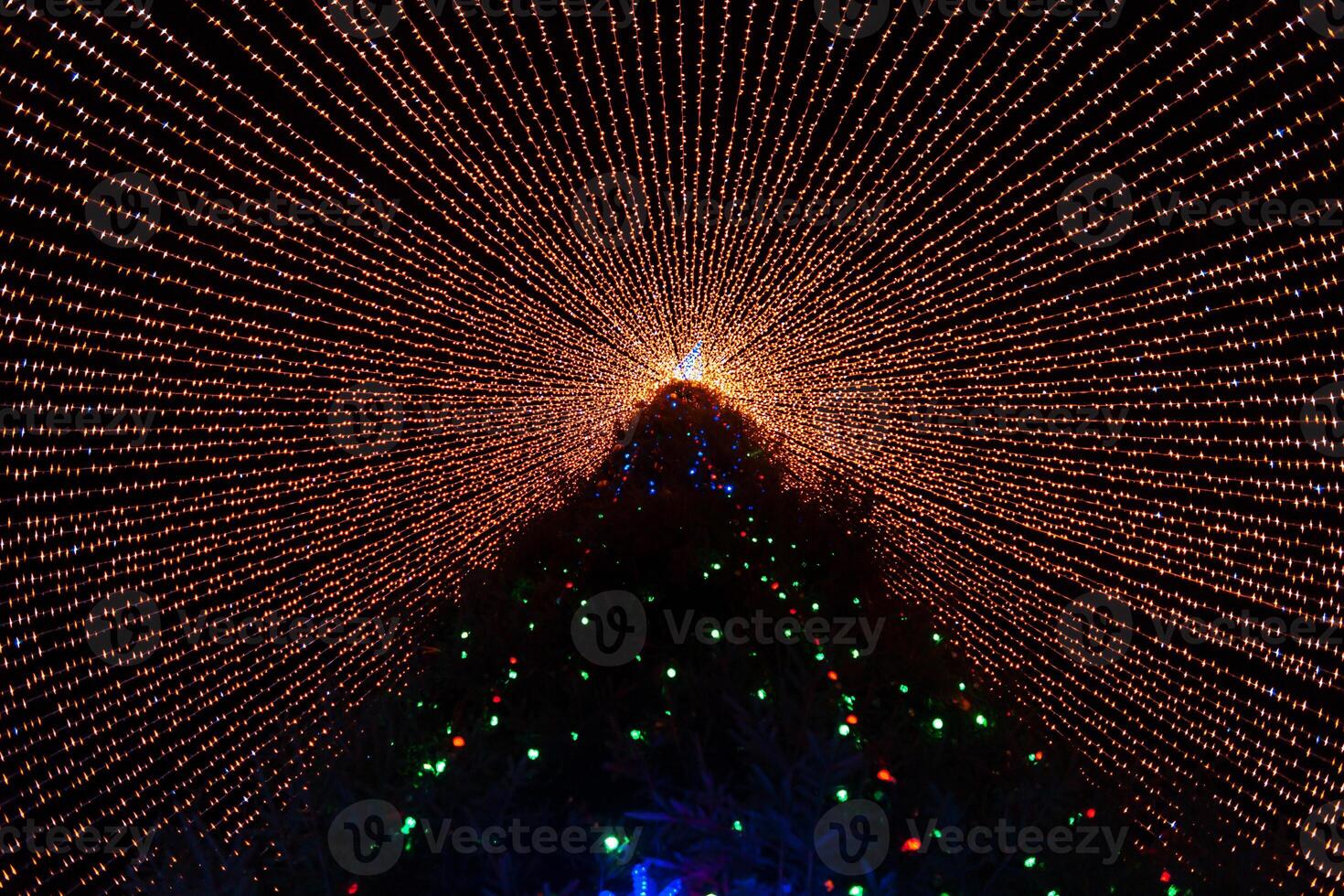 Big amazing magic Christmas tree with lights at night. Christmas Eve photo