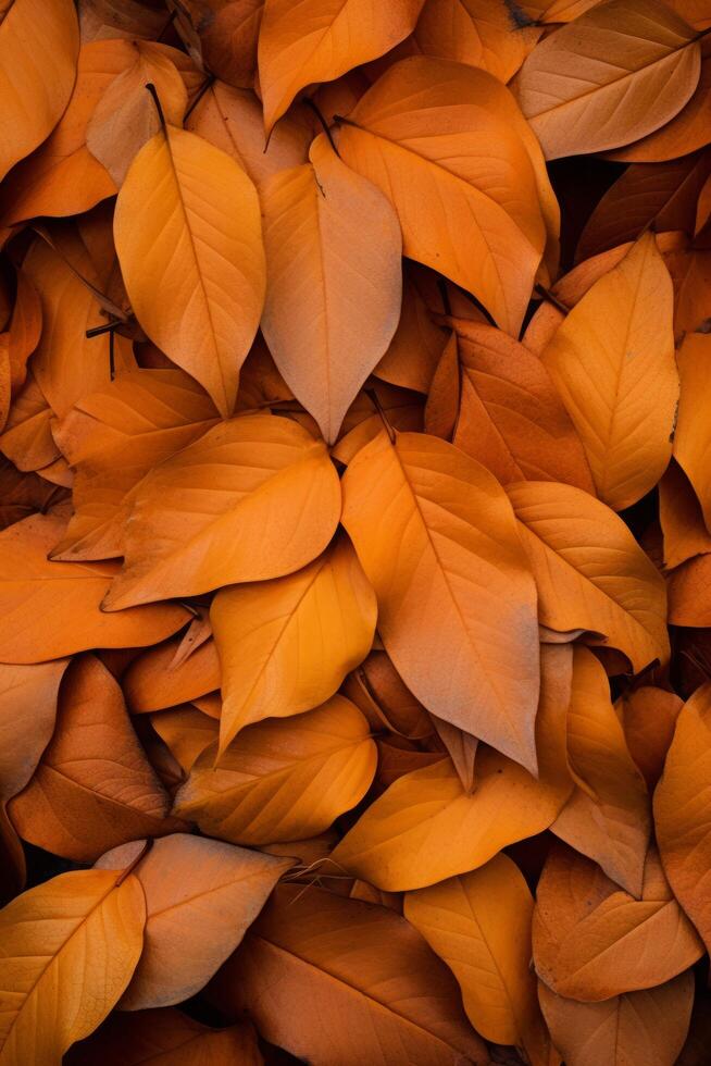 AI generated A pile of orange and yellow leaves scattered on the ground, embodying the essence of autumn photo