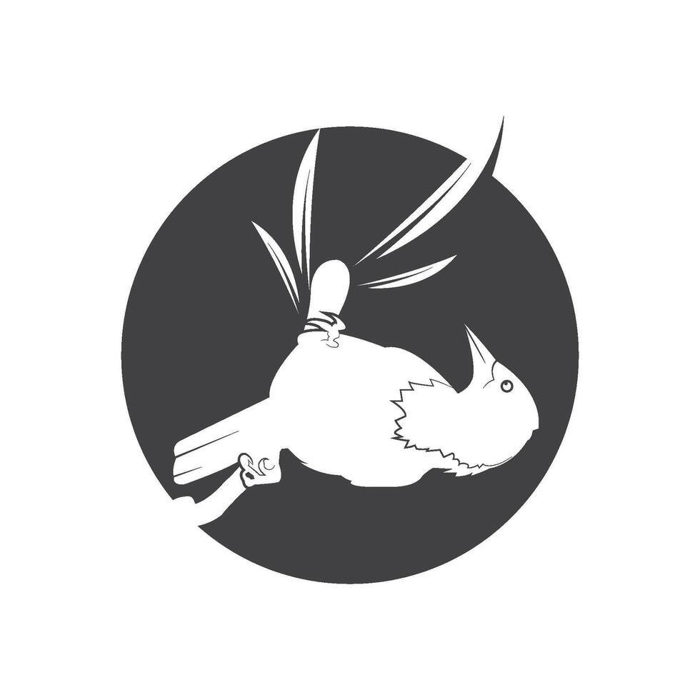 vector de plantilla de logotipo de pájaro