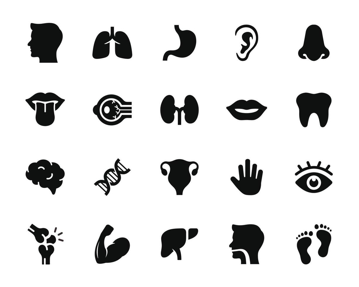 Anatomy icon set isolated on white background. Human organ icon set vector