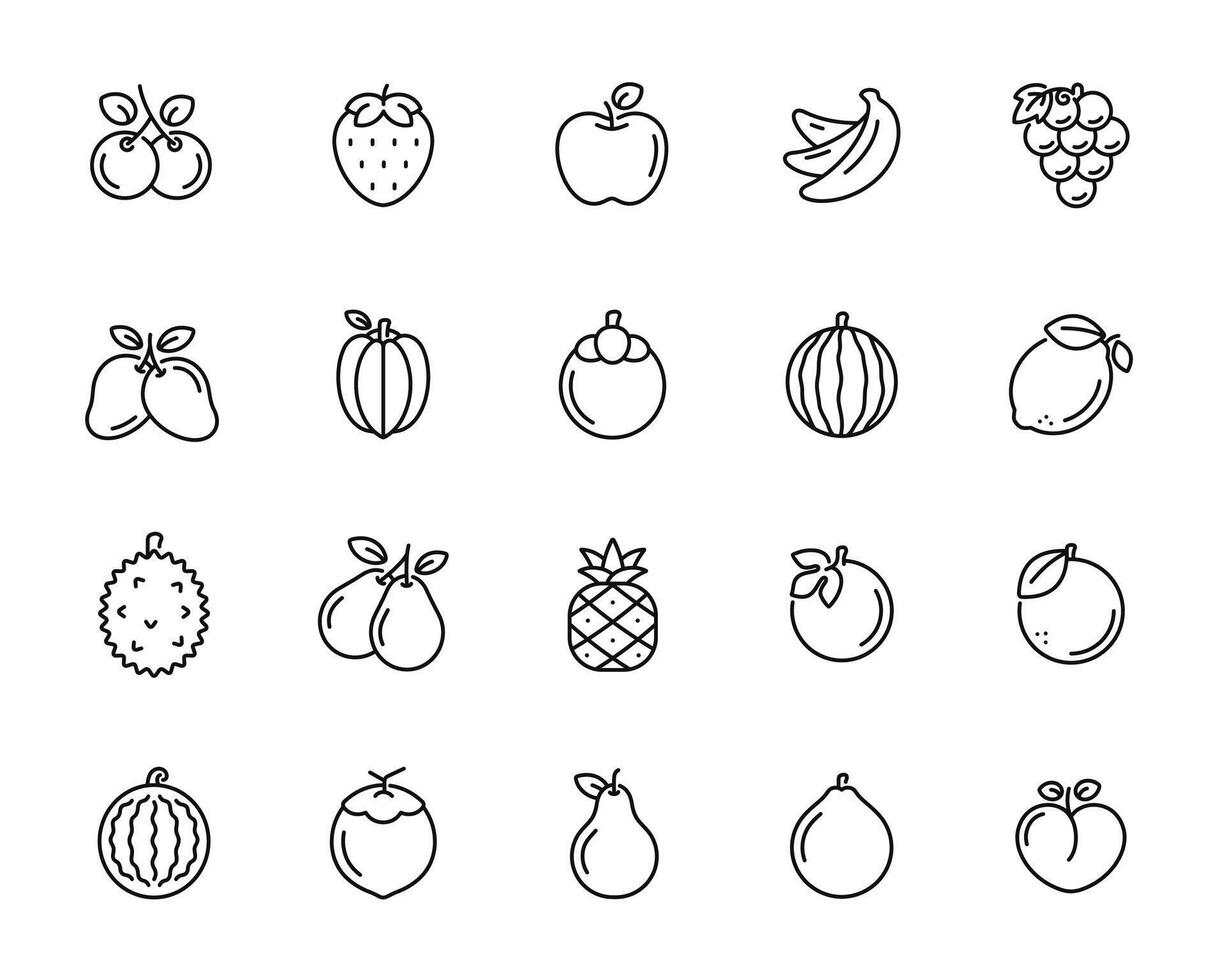 Fruits line icon set isolated on white background vector