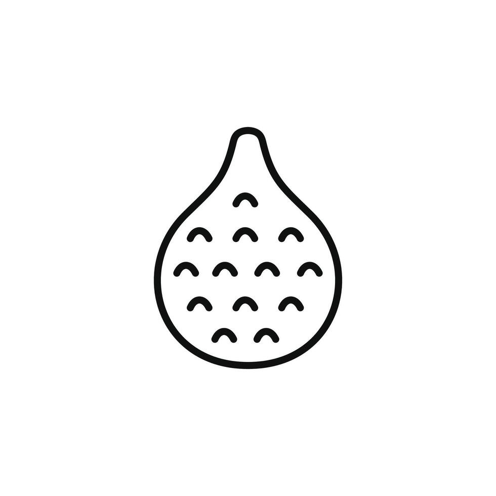 Salak line icon isolated on white background vector