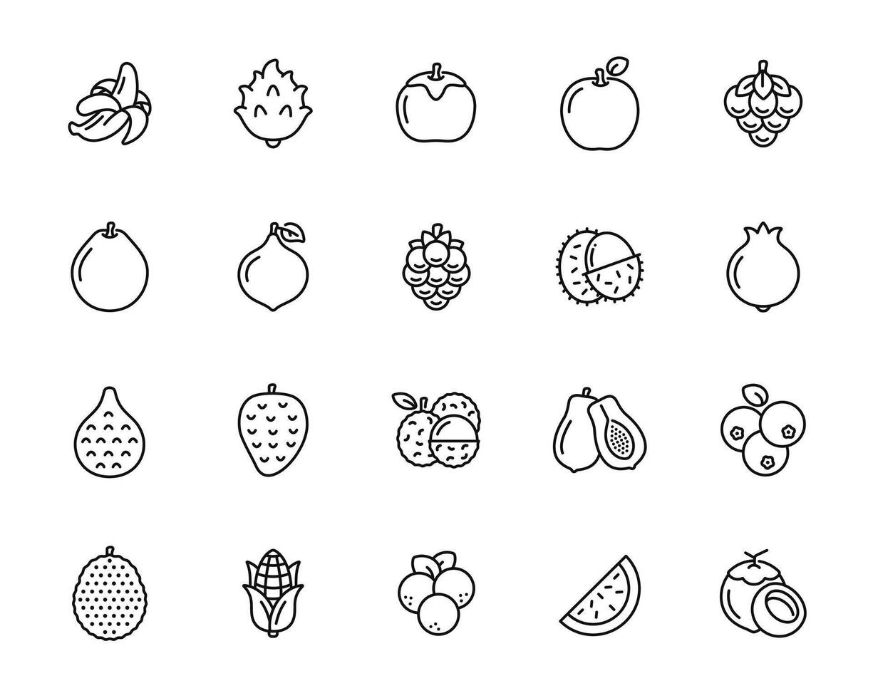 Fruits line icon set isolated on white background vector