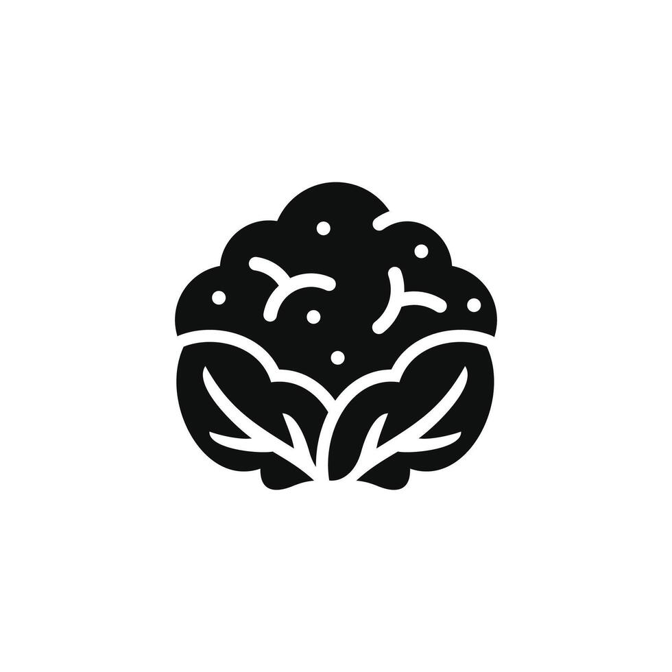 Cauliflower icon isolated on white background vector