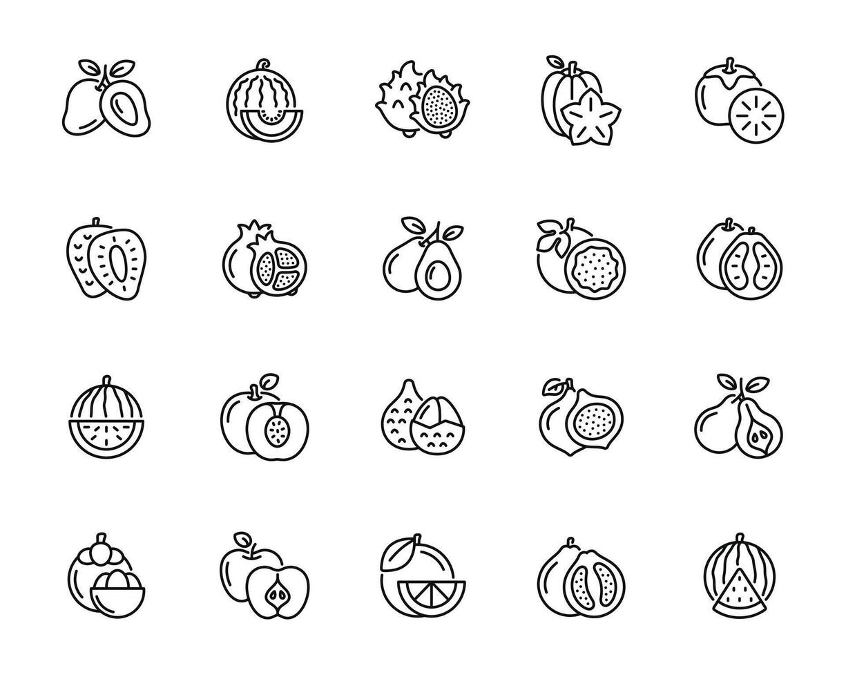 Fruits line icon set isolated on white background vector