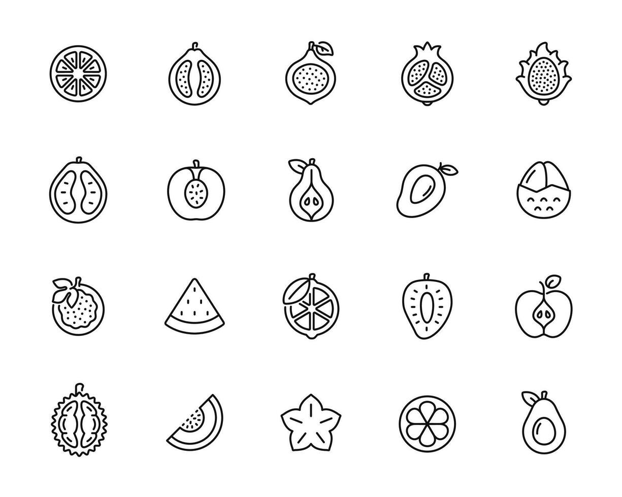 Fruits line icon set isolated on white background vector