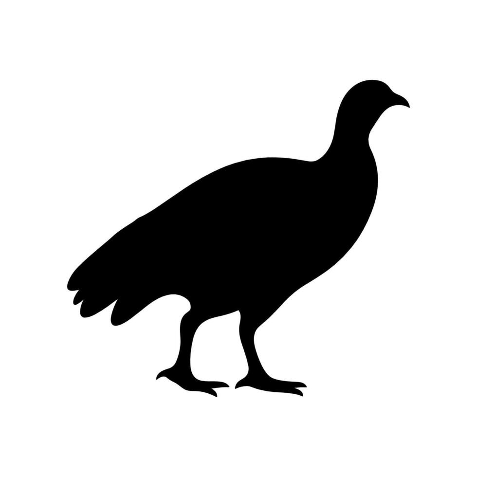 Guinea Fowl Bird Silhouette, Vector silhouette of Guinea Fowls in different positions.