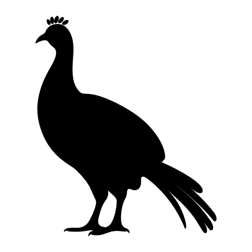 Guinea Fowl Bird Silhouette, Vector silhouette of Guinea Fowls in different positions.