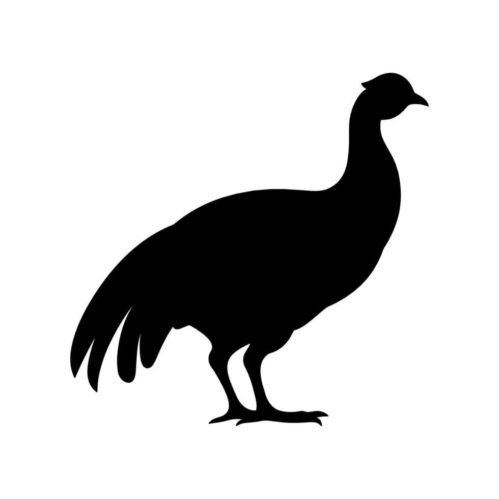 Guinea Fowl Bird Silhouette, Vector silhouette of Guinea Fowls in different positions.