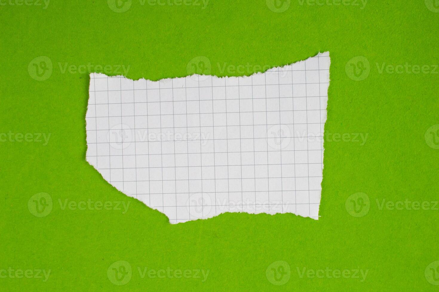 Isolated ripped paper piece. Torn blank paper with edges. photo