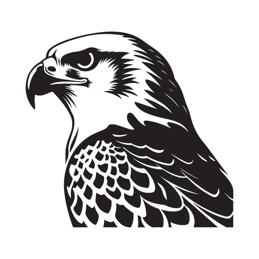 halcón mascota vector diseño imágenes, halcón mascota cabeza vector ilustración
