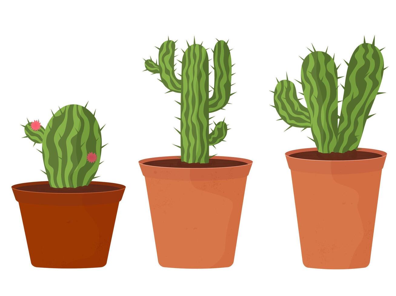 set of cacti, house plant in pots vector