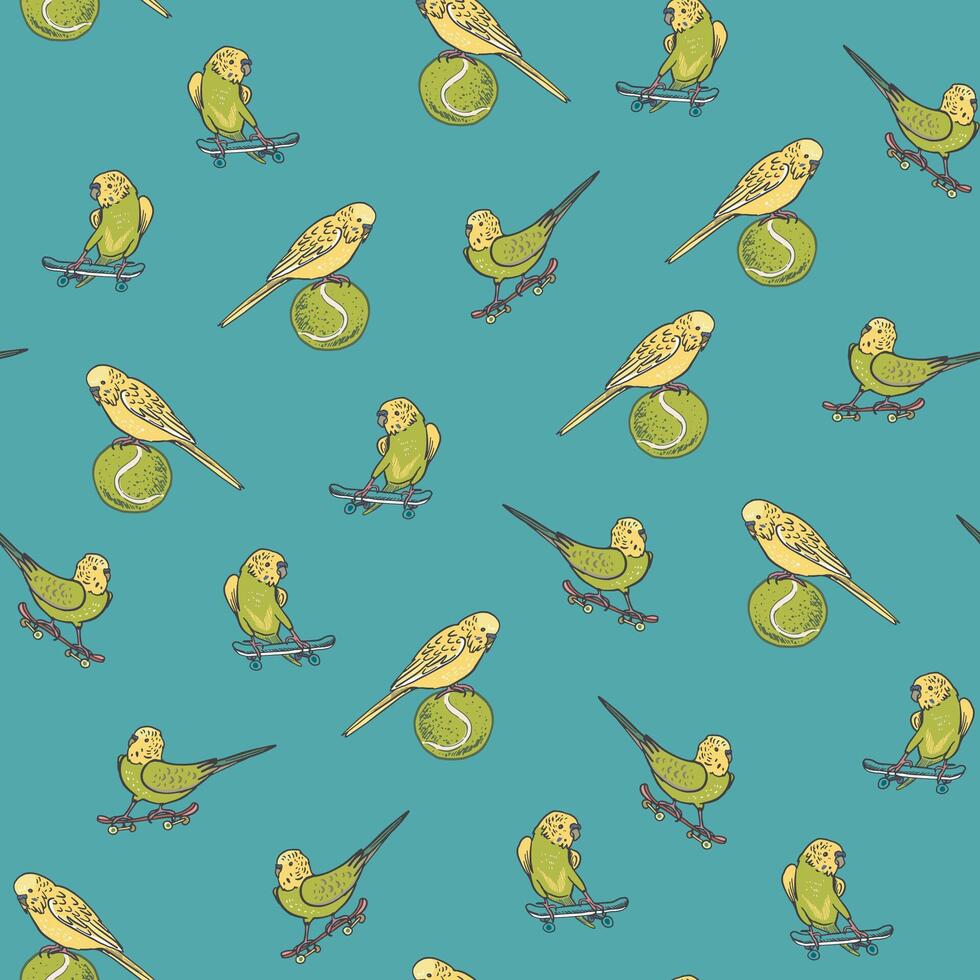 Parrots budgerigar birds pets vector seamless pattern.